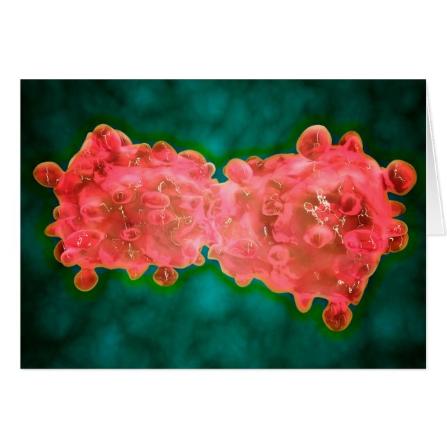 Vue Microscopique D'Une Cellule Leucémique (Devant horizontal)