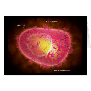 Vue Microscopique D'Une Cellule Mâle