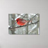 Vue Oiseau (Cardinal Rouge) toile Imprimer (Recto)