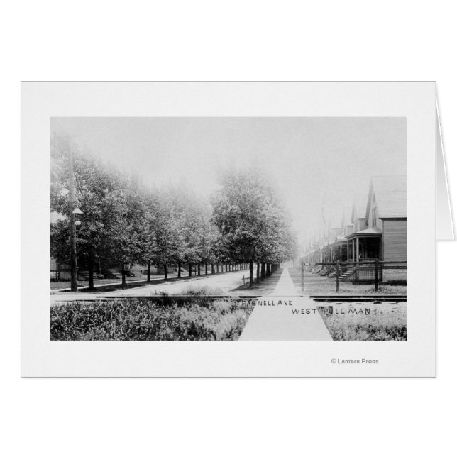 Vue ouest de Parnell Avenue (Devant horizontal)