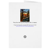 Vue panoramique sur le coucher du soleil / Pins /  (Dos)