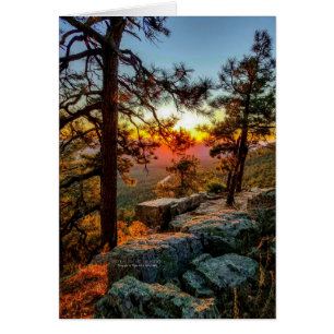 Vue panoramique sur le coucher du soleil / Pins /