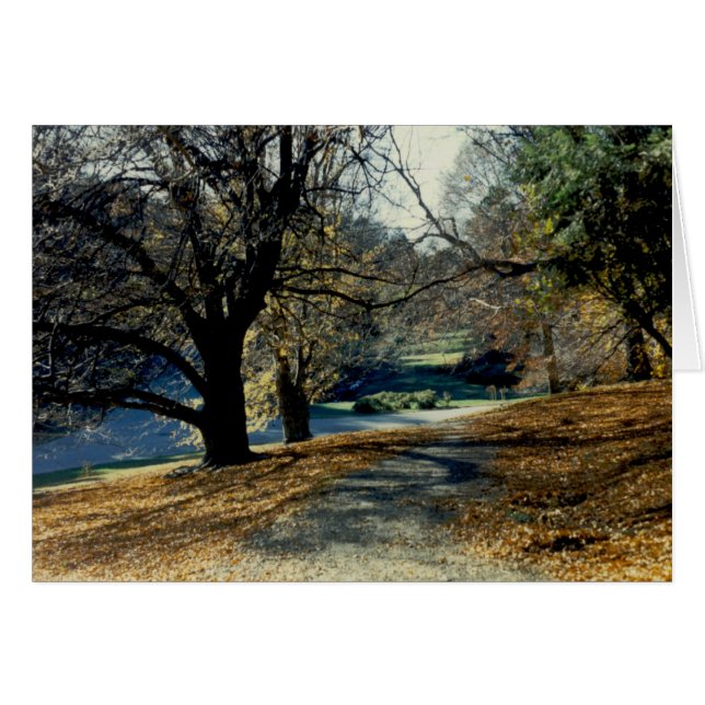 Vue par la hêtraie (Devant horizontal)