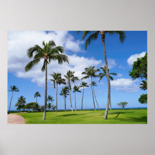 Vue pittoresque sur affiche des cocotiers