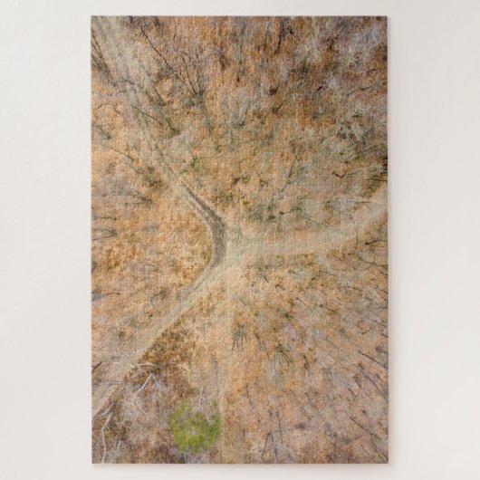 Vue pittoresque zenithal d'un puzzle en bois (Vertical)