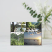 Vue sur la carte postale de Nature Isle (Debout devant)