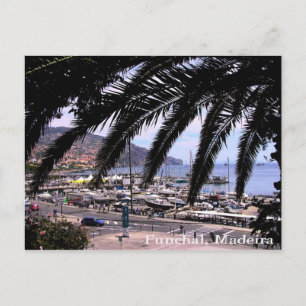 Vue sur la marina @ Funchal Carte postale