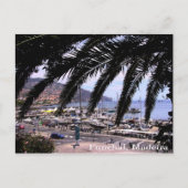 Vue sur la marina @ Funchal Carte postale (Devant)
