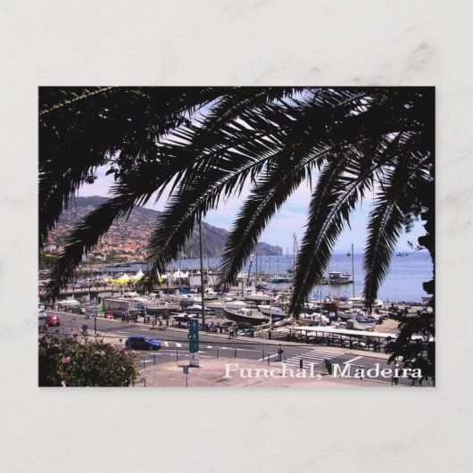 Vue sur la marina @ Funchal Carte postale (Devant)
