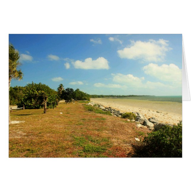 Vue sur la plage à Long Peak State Park, Floride (Devant horizontal)