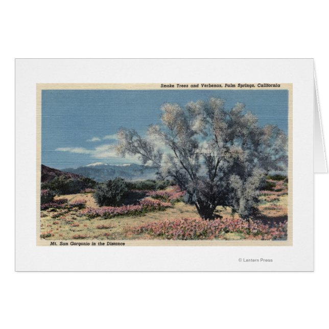 Vue sur le mont San Gorgonio, Fumeurs (Devant horizontal)