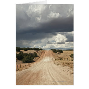 Vue sur un chemin de terre en NM avec
