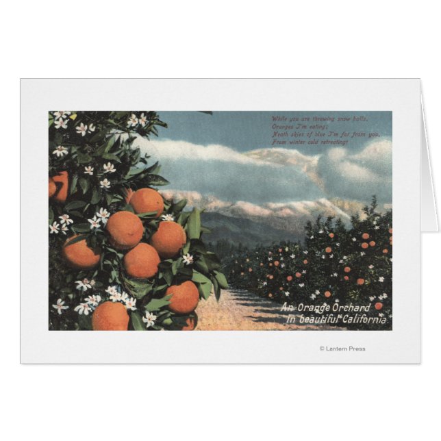 Vue sur un Orange Orchard avec Montagnes (Devant horizontal)
