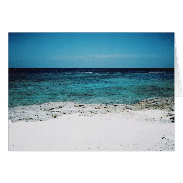 Vue tropicale (Devant horizontal)