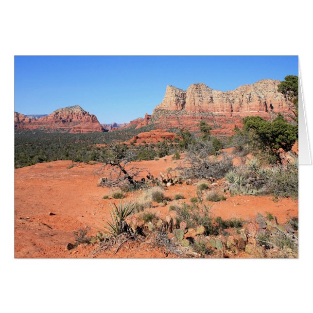 Vues de Bell Rock (Devant horizontal)