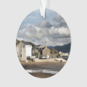 VUES DES ALLES (devant)