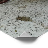 vuil man poster (Hoek)