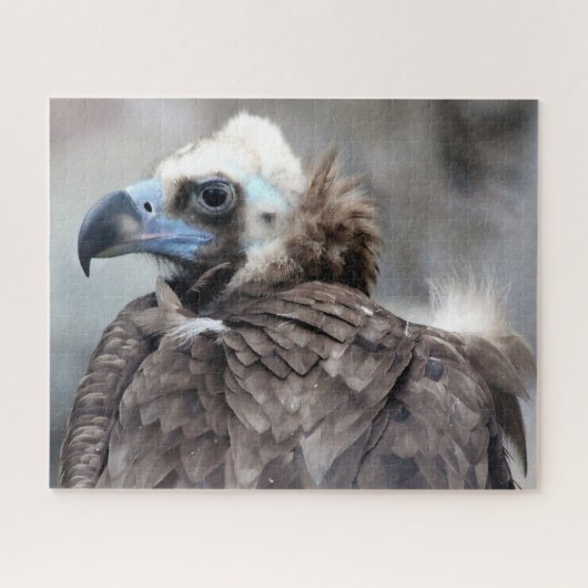 Vulingvogel van Prey. Legpuzzel (Horizontaal)