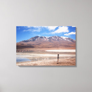Vulkaan in een altiplano-landschap canvas afdruk