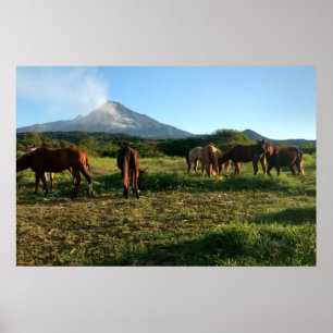 Vulkaan, paarden, bergen, landschap poster