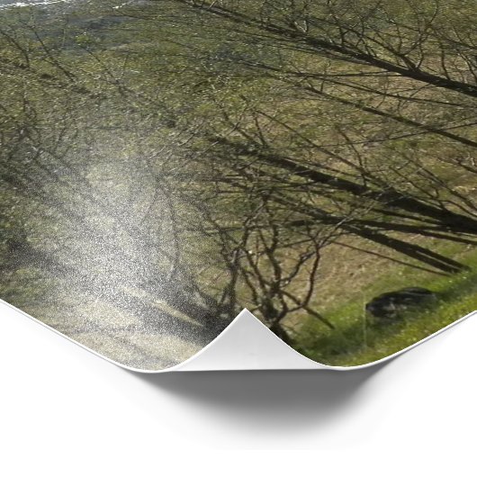 Vulkanisch landschap in St. Helens Foto Afdruk (Hoek)