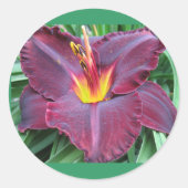 Vulkanische Daylily Sticker (Voorkant)