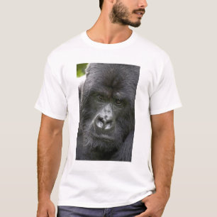 Vulkano's NP, Rwanda, Mountain Gorillas T-shirt