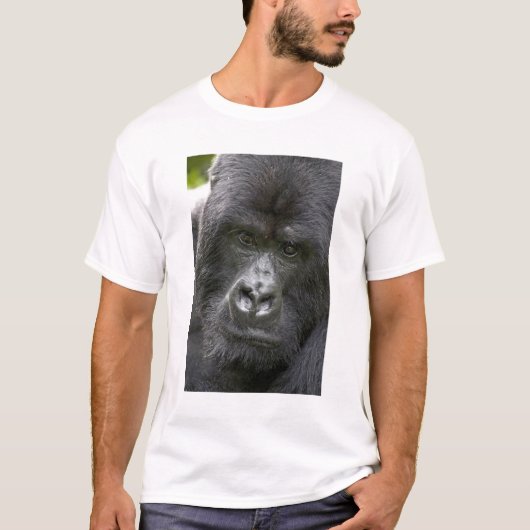 Vulkano's NP, Rwanda, Mountain Gorillas T-shirt (Voorkant)