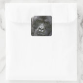Vulkano's NP, Rwanda, Mountain Gorillas Vierkante Sticker (Tas)