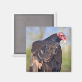 Vulpen van Turkije op de romp Magneet (Voorkant / Achterkant)