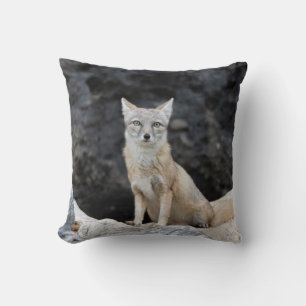 Vulpes corsac kussen