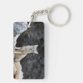 Vulpes corsac sleutelhanger (achterkant)