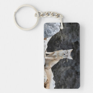 Vulpes corsac sleutelhanger