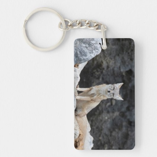 Vulpes corsac sleutelhanger (Voorkant)