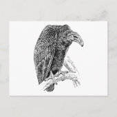 Vulture Bird Realistic Sketch Briefkaart (Voorkant)