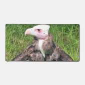 VULTURE BUREAUMAT (Voorkant)