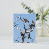 Vulture Family Tree Briefkaart (Staand voorkant)