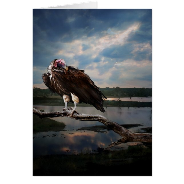 Vulture Fantasy (Voorkant)