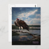 Vulture Fantasy Briefkaart (Voorkant / Achterkant)