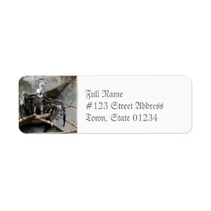 Vulture Mailing Labels