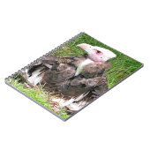 VULTURE NOTITIEBOEK (Linkerzijde)