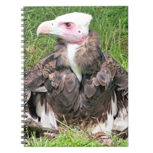 VULTURE NOTITIEBOEK