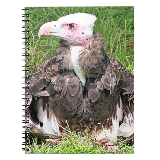 VULTURE NOTITIEBOEK (Voorkant)