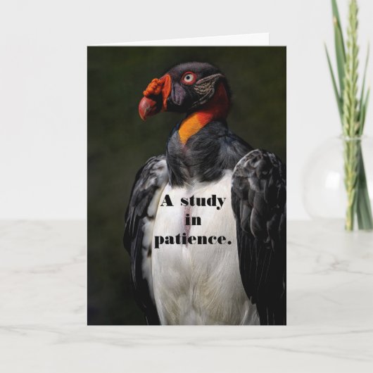 VULTURE PATIENCE CARTE D'ANNIVERSAIRE (Devant)