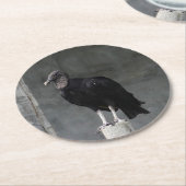 Vulture Pulp Board Onderzetters (Gebogen)