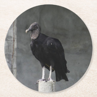 Vulture Pulp Board Onderzetters