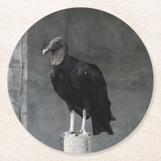Vulture Pulp Board Onderzetters (Voorkant)