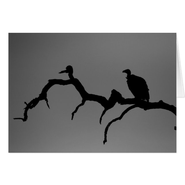 Vulture Silhouette (Voorkant Horizontaal)