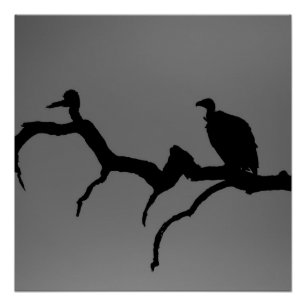 Vulture Silhouette Perfect Poster