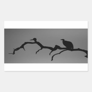 Vulture Silhouette Rechthoekige Sticker